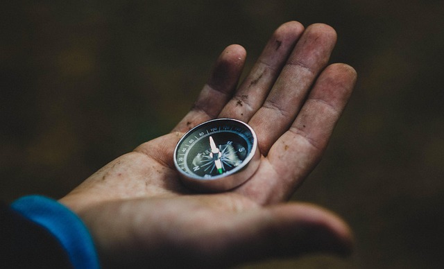 업비트 출금 방법 완벽 가이드: 쉽게 따라하는 단계별 정리! 관련 이미지 1