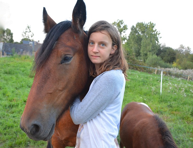 두산퓨얼셀 유상증자 공모 청약 일정 및 가격 완벽 가이드 관련 이미지 1