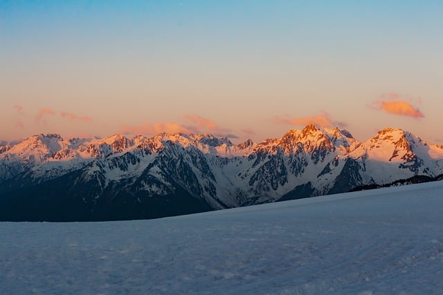 2026 민생지원금 사용처 완벽 가이드 알아보기 관련 이미지 1