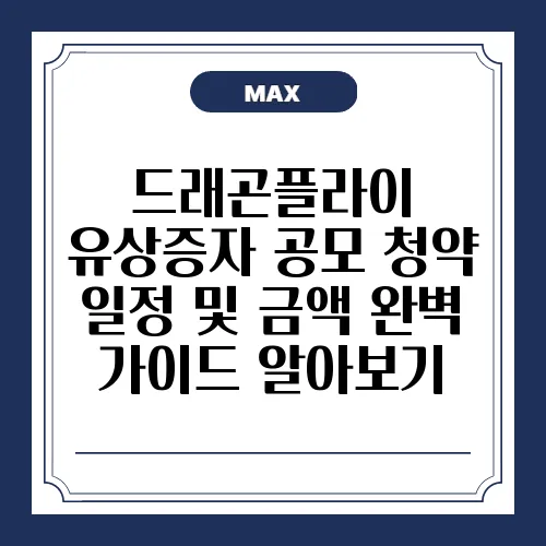 드래곤플라이 유상증자 공모 청약 일정 및 금액 완벽 가이드 알아보기